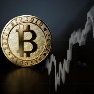 دولت با استخراج بیت کوین موافقت کرد