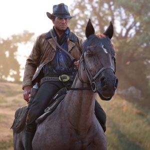 بازی Red Dead Redemption 2 در تاریخ ۱۴ آبان برای پی‌سی منتشر می شود