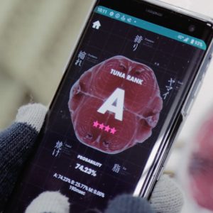 توسعه اپلیکیشن Tuna Scope برای ارزیابی ماهی تن با هوش مصنوعی