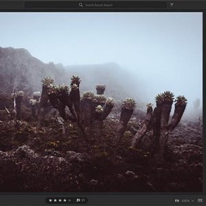 ادوبی ابزار بیشتری برای درجه بندی رنگ مانند فیلم به لایت روم اضافه کرد