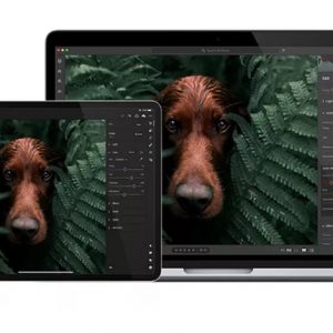 ادوبی نسخه آرم نرم افزار لایت روم را برای ویندوز و مک منتشر کرد