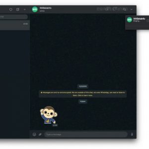 امکان برقراری تماس صوتی و تصویری در نسخه دسکتاپ واتس اپ