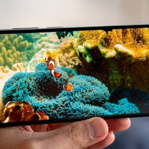 شیائومی 11 لایت 5G NE معرفی شد