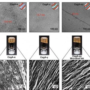 تولید جوهر زنده با قابلیت خود ترمیم شونده