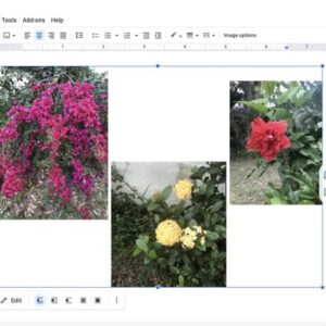 نحوه گروه بندی تصاویر در گوگل داکس