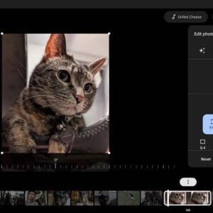 آپدیت گوگل فوتوز با قابلیت های جالب ویرایش فیلم برای کروم بوک ها