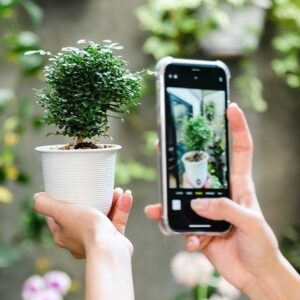 6 اپلیکیشن عالی شناسایی گیاه برای اندروید و آیفون