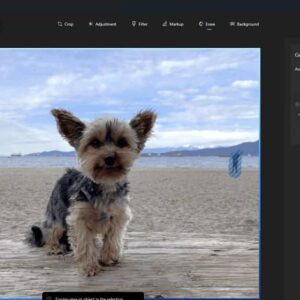 مایکروسافت یک ویژگی هوش مصنوعی به Windows Photos آورد