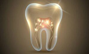 اولین داروی رشد دندان در جهان برای آزمایش روی انسان تایید شد