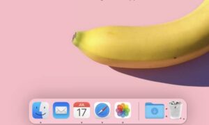 این اپلیکیشن با استفاده مگس های متحرک زمان خالی کردن سطل زباله را اطلاع می دهد