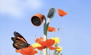 دوربین جدید Bird Buddy گیاهان و حشرات را در باغ شما نظارت می کند