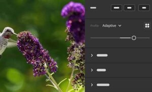 ادوبی Lightroom و Camera Raw دو ویژگی جدید هوش مصنوعی را دریافت خواهند کرد