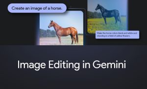 گوگل قابلیت ویرایش تصاویر را به اپلیکیشن Gemini افزود