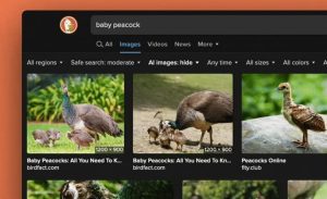 DuckDuckGo امکان فیلتر کردن تصاویر هوش مصنوعی را در نتایج جستجو فراهم کرد