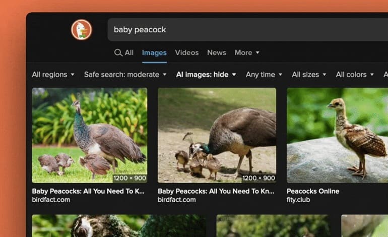 DuckDuckGo امکان فیلتر کردن تصاویر هوش مصنوعی را در نتایج جستجو فراهم کرد