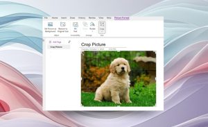قابلیت ویرایش تصویر به OneNote برای ویندوز افزوده شد