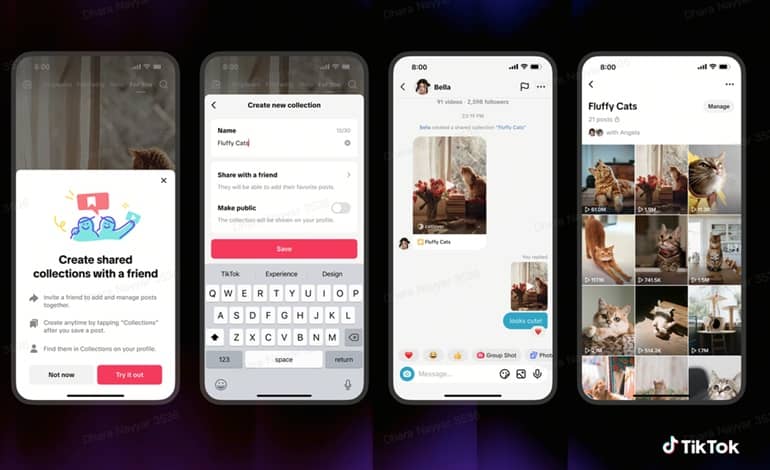 معرفی قابلیت‌های جدید Shared Feed و Shared Collections در تیک تاک