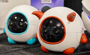 این ربات همراه، فیلمبردار حیوان خانگی شماست